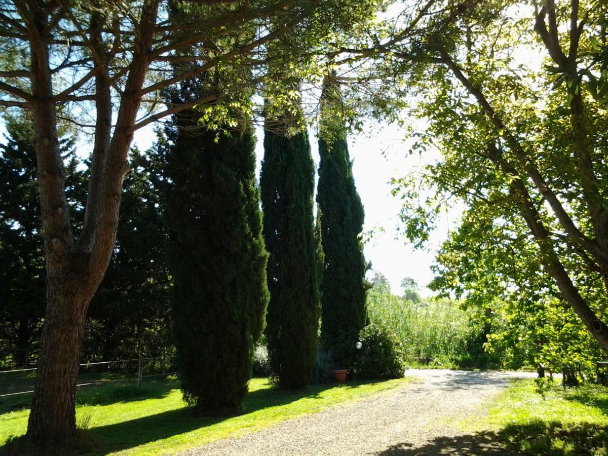 Agriturismo Piana Arborello Magliano in Toscana Bagian luar foto