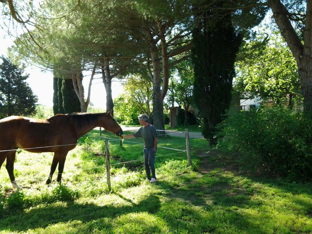 Agriturismo Piana Arborello Magliano in Toscana Bagian luar foto