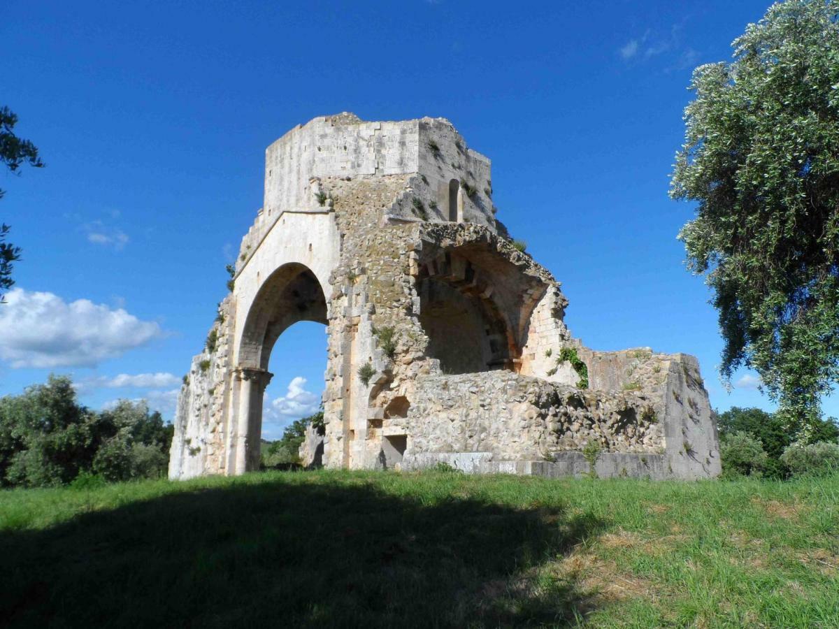Agriturismo Piana Arborello Magliano in Toscana Bagian luar foto
