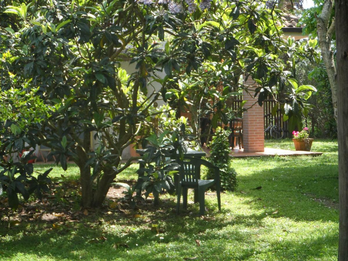 Agriturismo Piana Arborello Magliano in Toscana Bagian luar foto