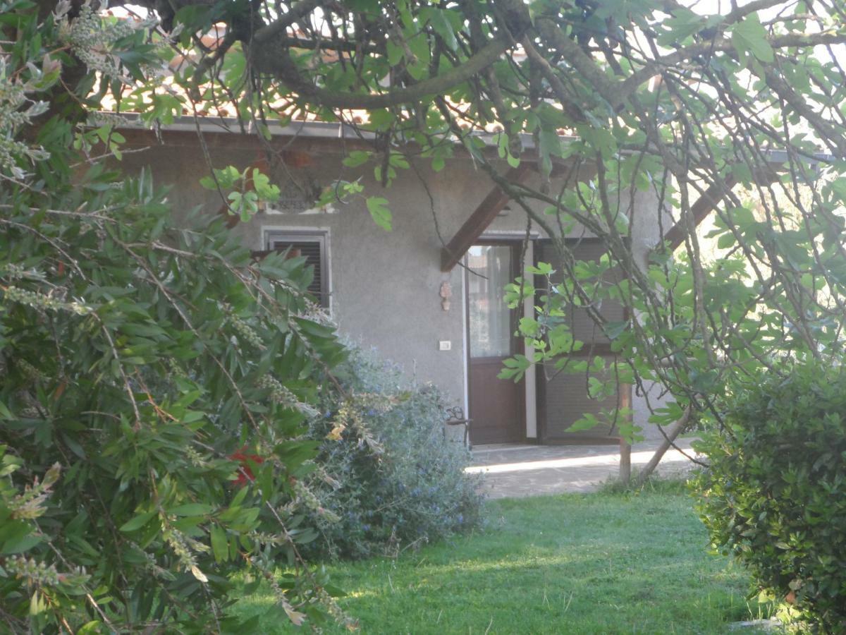 Agriturismo Piana Arborello Magliano in Toscana Bagian luar foto