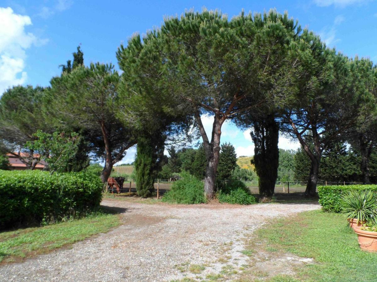 Agriturismo Piana Arborello Magliano in Toscana Bagian luar foto