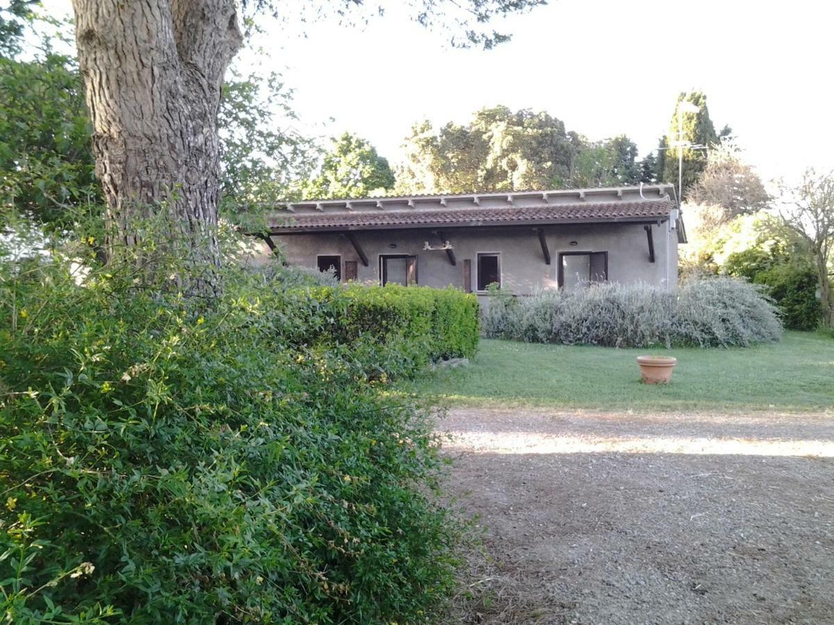 Agriturismo Piana Arborello Magliano in Toscana Bagian luar foto