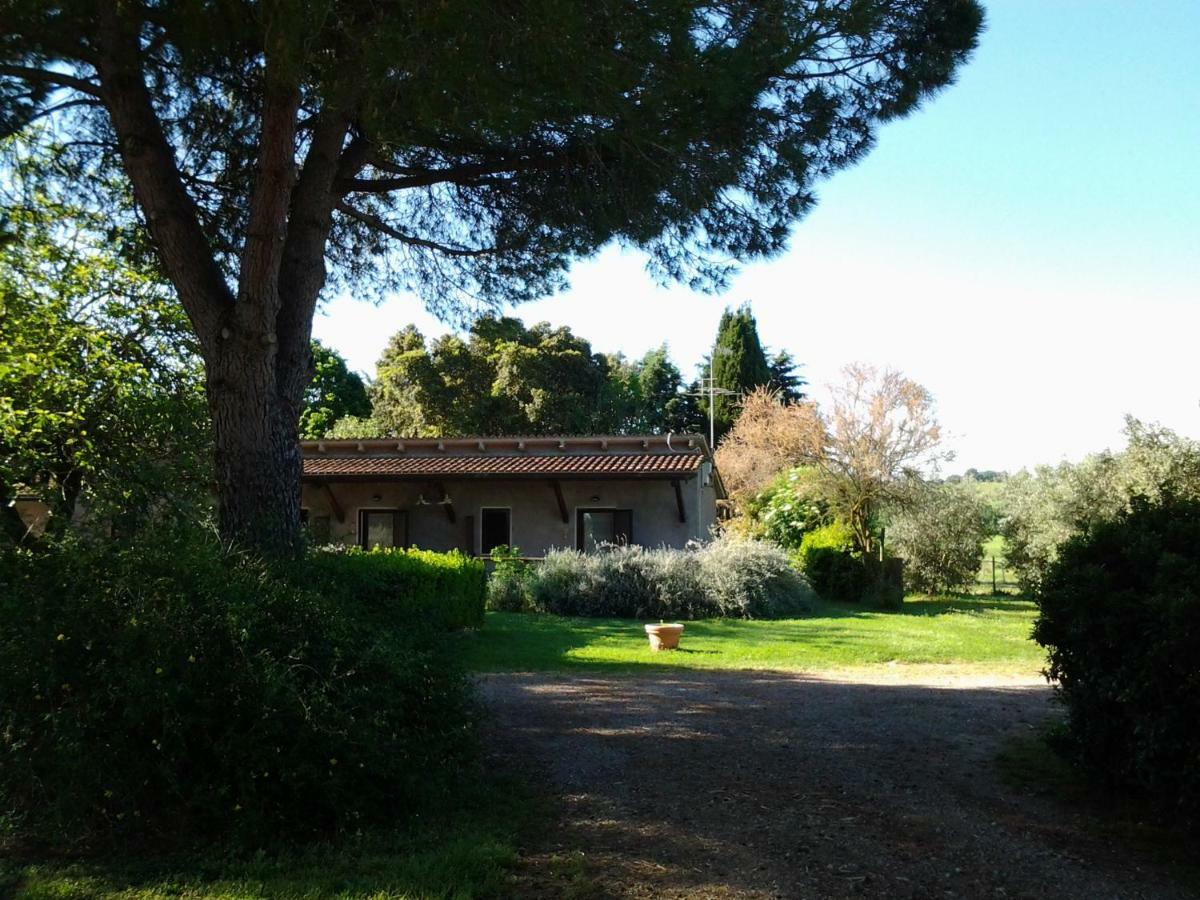 Agriturismo Piana Arborello Magliano in Toscana Bagian luar foto