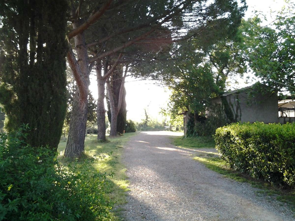 Agriturismo Piana Arborello Magliano in Toscana Bagian luar foto