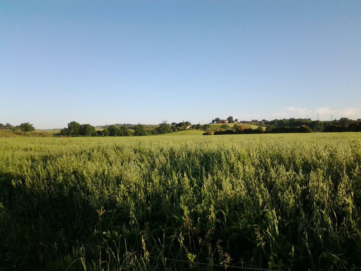 Agriturismo Piana Arborello Magliano in Toscana Bagian luar foto