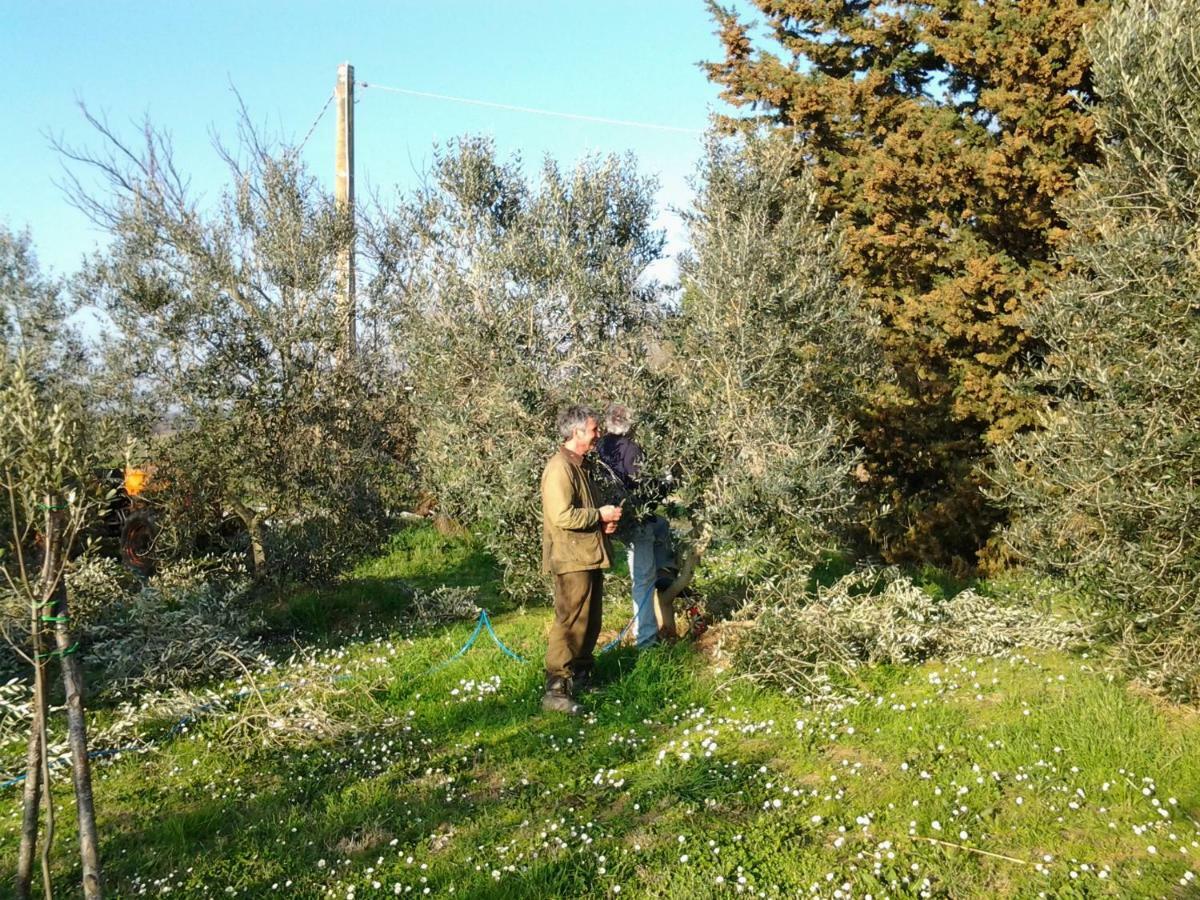 Agriturismo Piana Arborello Magliano in Toscana Bagian luar foto